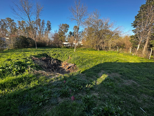 Casa Quinta A Terminar En Amplio Terreno Villa Rosa