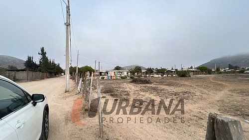 Arriendo Amplio Sitio Sector Pan De Azucar