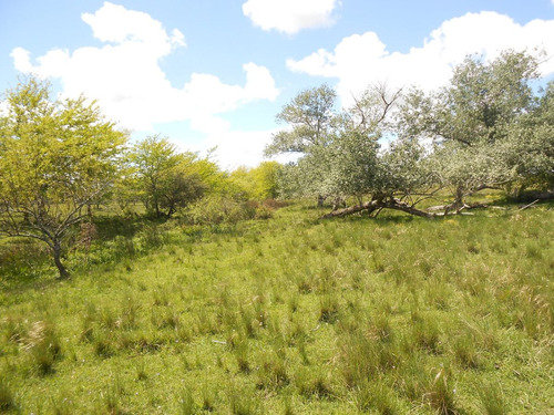 Imagen 6 de 10 de Vende 27 Has En Santa Rosa Monte Buena Aguada, Lindo Campo Fcio!!!