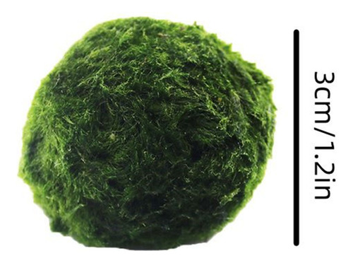 Decoração: Bolas De Algas Marinhas, Garrafas, Bolas De Algas