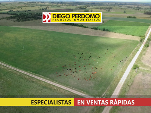 Campo En Venta 49,5 Has, San José