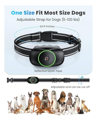 Collar Dog Shock, 3 Modos De Adiestramiento Eléctrico Para P
