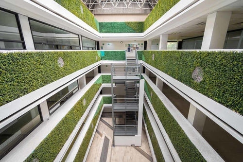 Imagen 4 de 14 de Edificio En Renta, Benito Juárez, Ciudad De México