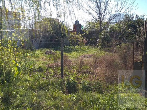 Imagen 8 de 21 de Lote En Venta En Juan Maria Gutierrez