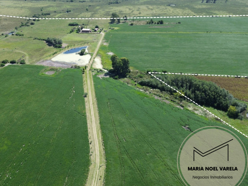 Venta Campo Solís De Mataojo