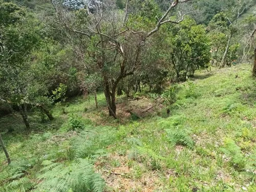 Lote En Venta En Guarne Vereda Canoas. Cod V11705