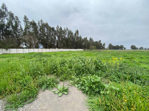 Imagen 13 de 19 de Bajó De Precio! Sitio En Parcelación De Isla De Maipo