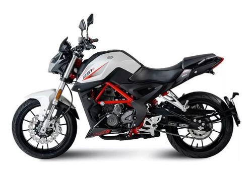 Imagen 9 de 17 de Benelli 251s Maldonado Motos