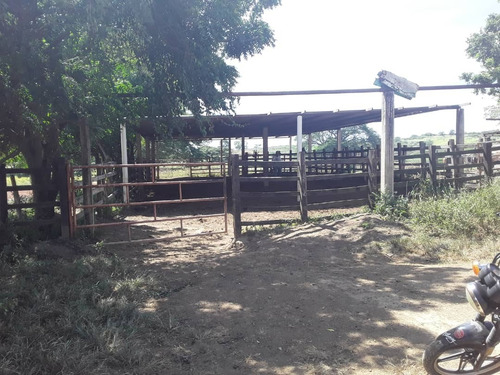 Imagen 22 de 30 de Se Vende Finca Agropecuaria De 300 Hectareas En Guarico Altagracia De Orituco Att-120