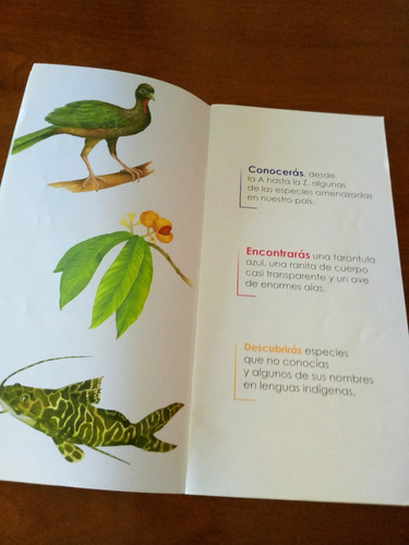 Cartilla Del Abc De Las Especies Amenazadas (Usado)