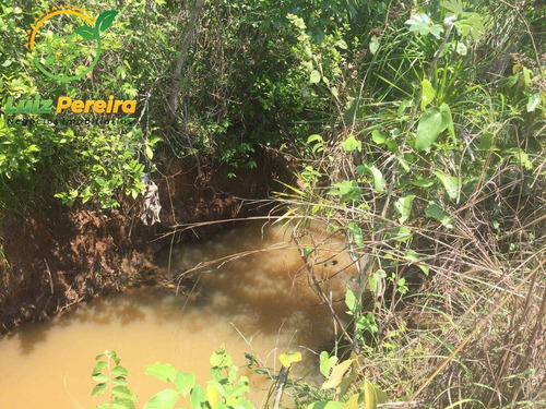 Imagem 5 de 11 de Fazenda À Venda No Vale Do Araguaia - To - 1.108 Hectares (dupla Aptidão) - 2101