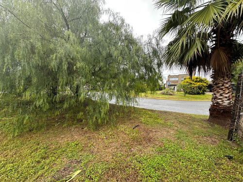 Terreno En Venta En La Estanzuela 500 M2