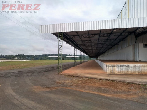 Imagem 6 de 30 de Barracões_galpões Para Alugar - 13650.7734