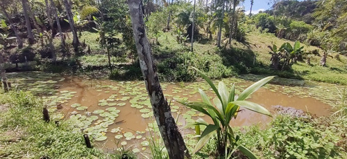 Imagem 13 de 18 de Miracatu/chácara C/lago/casa S/acabamento/ref:05365