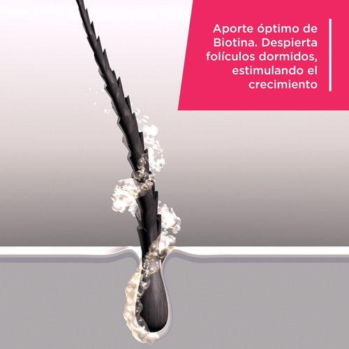 Aminoter D Suplemento Anticaída De Cabello Vitamina D 30cap