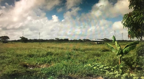 Imagen 2 de 9 de Se Vende Finca En Curiepe, Maturin Ve02-1352cem-scor