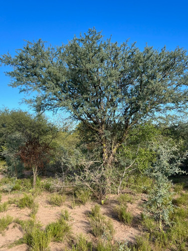 Lote De 1535 M2 Con Escritura En Quebrada De Los Pozos / Villa De Las Rosas - Traslasierra