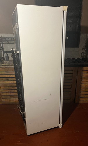 Freezer Whirlpool Vertical 228 Litroswvg30d1 Blanco Blanco (Usado)
