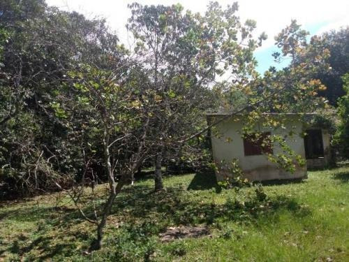 Chácara Na Praia De Itanhaém,confira! 7460 J.a