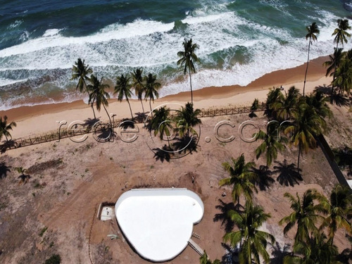 Imagem 10 de 16 de Lote No Condomínio Irauã | 426m² | Praia De Taipus De Fora Península De Maraú | Ba - Te00253 - 69475586