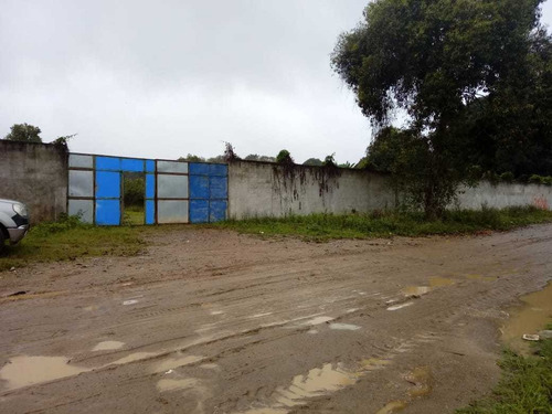 Imagem 11 de 13 de Galpão/pavilhão A Venda . - 427-1