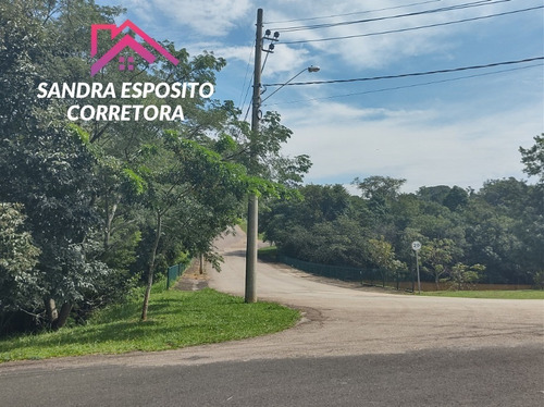 Terreno - Te00302 - 69329887