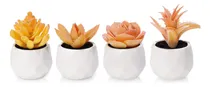 Comprar Set De 4 Suculentas Artificiales Artificiales En Macetas Tii