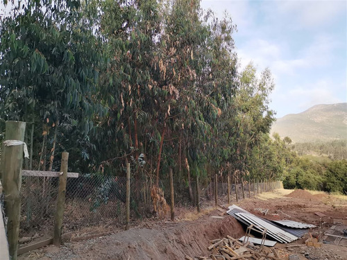 Parcela En Venta En Bosque De Mantagua Concon