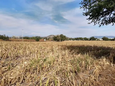 Terreno en venta