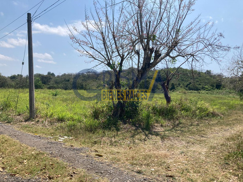 Terreno Campestre En Venta En Camino A Juana Moza
