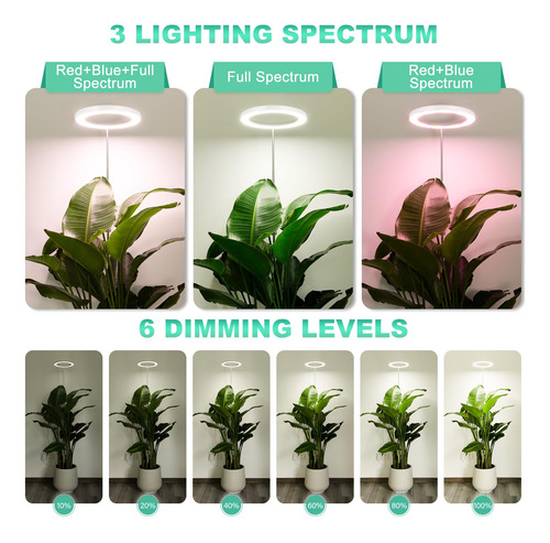 Grow Light Lordem 10 Para Plantas De Interior Full Spectrum