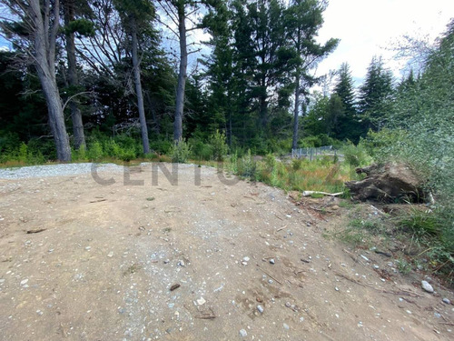 Imagen 9 de 14 de Lote En Venta - Bariloche - Avenida Bustillo Km 21 - Id: 60514