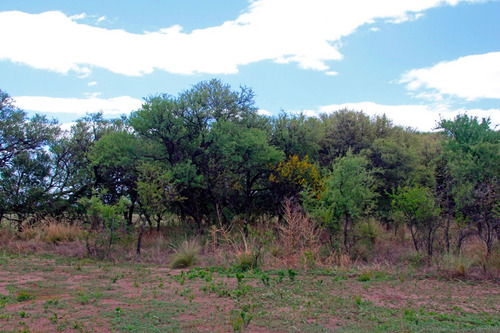 Espectacular Terrenos En Venta En Zorzales Del Dique, Cortaderas Cerca De Merlo San Luis