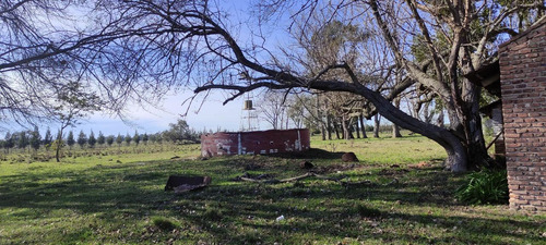 Terreno En  El Molino, Club De Campo