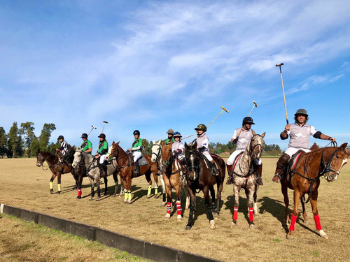 Imagen 11 de 27 de Casona De Campo En Cañuelas / Club De Polo / Eventos Corporativos / Rancho Contento Polo Team