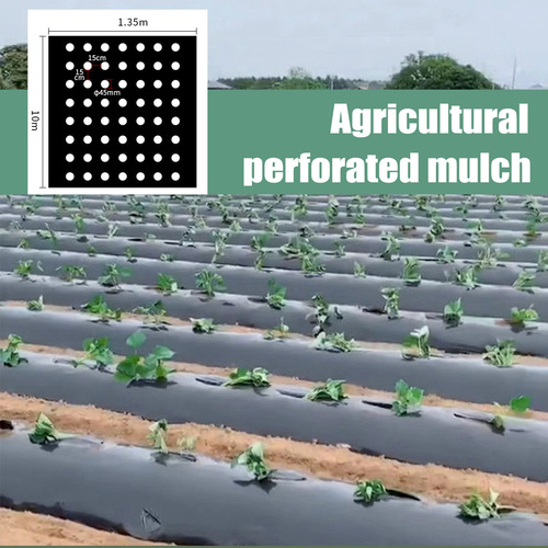 O Película De Mantillo Perforada Para Aislamiento Agrícola