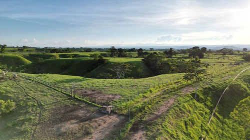 Finca Ganadera En Venta En El Magdalena Medio.