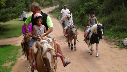 Imagen 10 de 12 de Solanas Forest Resort. 2 Amb. 4 Personas Disponible A Partir De Marzo Hasta Navidad