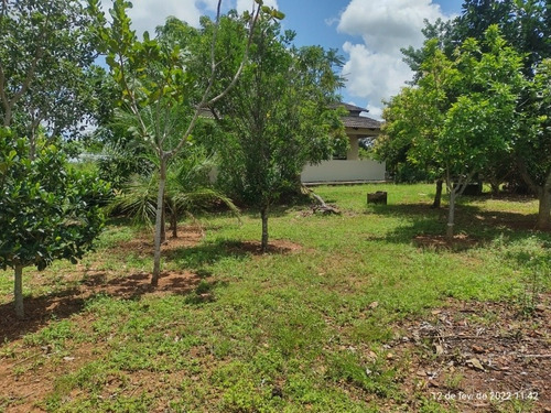 Imagem 2 de 20 de Vende-se Chácara A 3 Km Do Asfalto