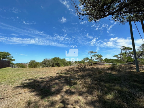 Terreno En Ocean Park - Ref : Pbi12748