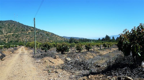 Imagen 5 de 11 de Parcela En Venta En Limache