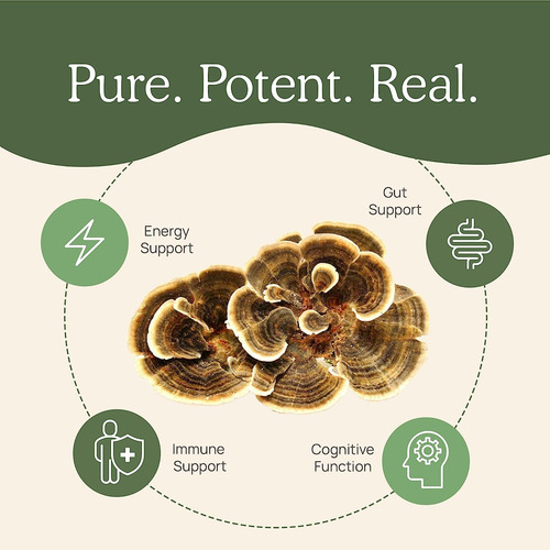 Extracto De Cola De Pavo Orgánico 1000mg 90cáp