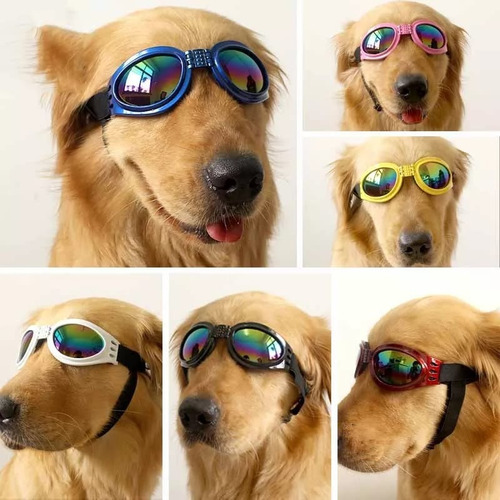 Imagen 4 de 10 de Gafas Lentes De Sol Uv Para Perro Mascotas Mediana A Grandes