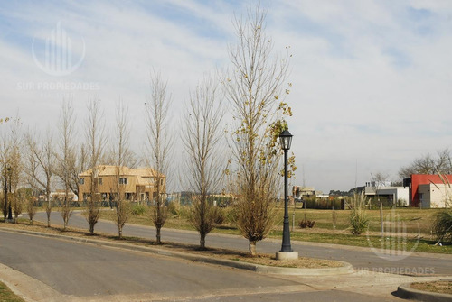 Imagen 4 de 8 de Lote De 626 M2 En San Felipe, Canning