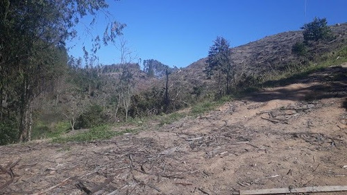 Imagem 3 de 17 de Linda Sitio Em Caçapava Com Ótimo Acesso A Via Dutra - Ar0010