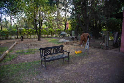 Imagen 2 de 30 de Quinta En Venta - La Reja