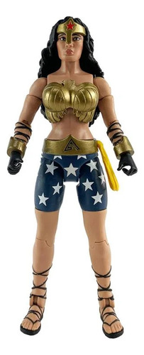 Mattel Dc Comics Multiverse The Dark Knight Wonder Woman