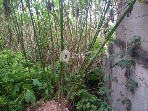 Imagem 6 de 7 de Terreno, Jardim Monte Verde (caucaia Do Alto), Cotia - R$ 100 Mil, Cod: 4172 - V4172