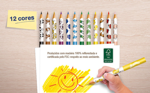 Ecolápis Triangular Jumbo 12 Cores+2 Jumbo 2b Faber Castell