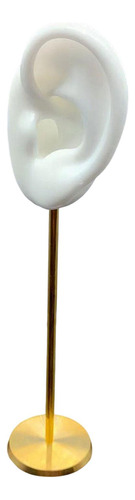 Soporte Para Exhibición De Pendientes, Modelo De Oreja